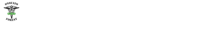 おのざと歯科 フォレストモール新前橋 インプラント専門サイト